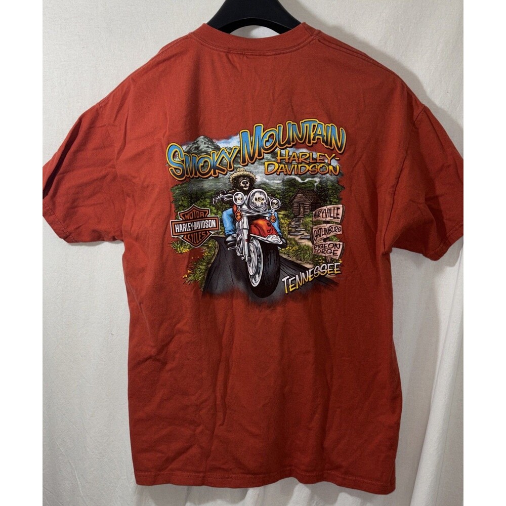 Harley-Davidson 2006 Men's Smoky Mountain Vintage  Tennessee Beefy Bears   T